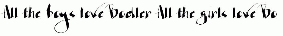 Bodler