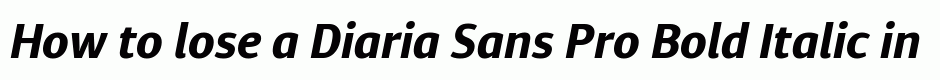 Diaria Sans Pro Bold Italic