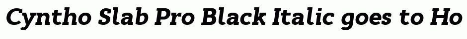 Cyntho Slab Pro Black Italic