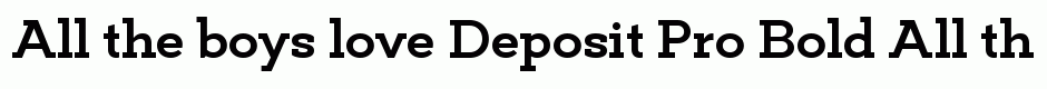 Deposit Pro Bold