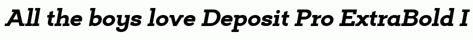 Deposit Pro ExtraBold Italic