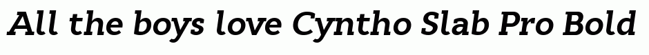 Cyntho Slab Pro Bold Italic