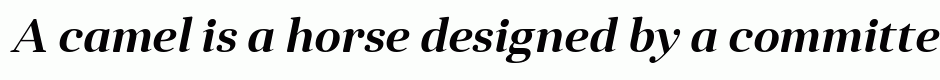 Anglecia Pro Title SemiBold Italic