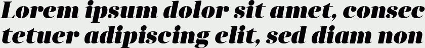 Anglecia Pro Display Black Italic