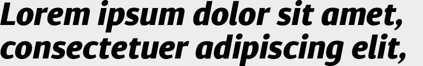 Diaria Sans Pro ExtraBold Italic