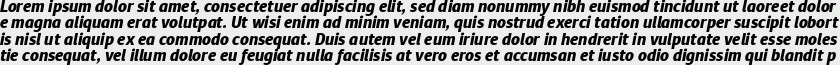 Diaria Sans Pro ExtraBold Italic