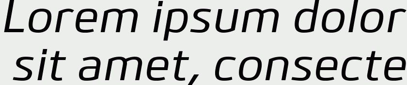 Bitner Medium Italic