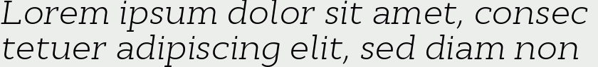 Cyntho Slab Pro Light Italic