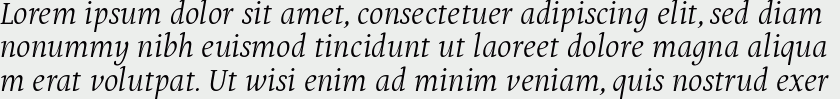 Puenta Serif Italic