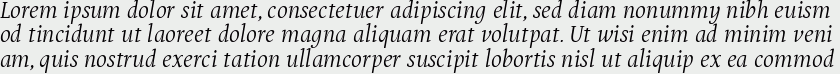 Puenta Serif Italic