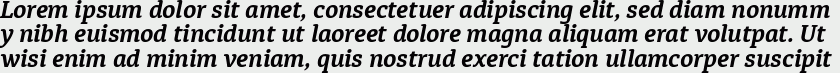 Diaria Pro Bold Italic