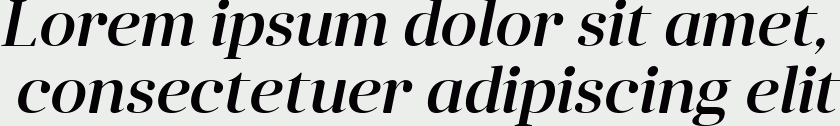 Anglecia Pro Display Medium Italic