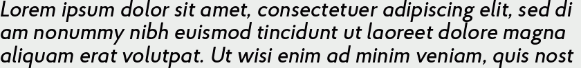 Proba Pro Medium Italic