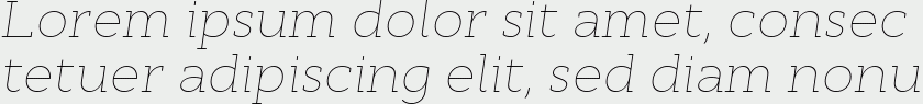 Cyntho Slab Pro Thin Italic