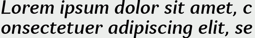 Espuma Pro Medium Italic
