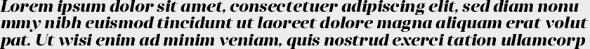 Anglecia Pro Display Bold Italic