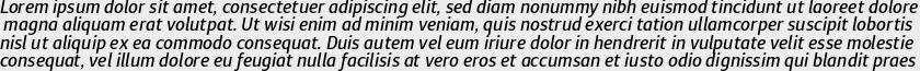 Diaria Sans Pro Medium Italic