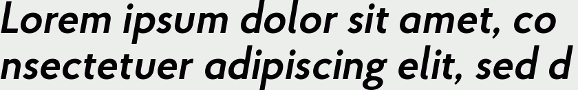 Proba Pro SemiBold Italic