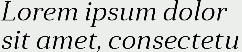 Anglecia Pro Text Light Italic