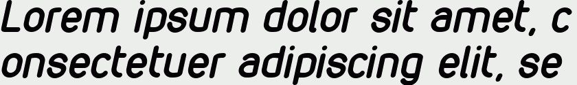 VDS Bold Italic