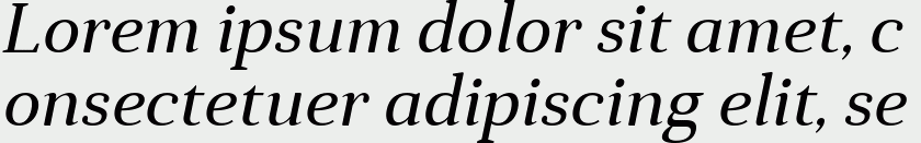 Anglecia Pro Text Italic