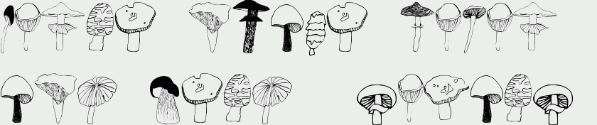 Funghi Mania Illustrations