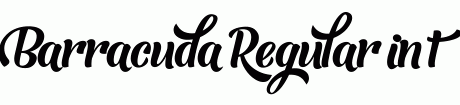 Barracuda Regular