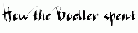 Bodler