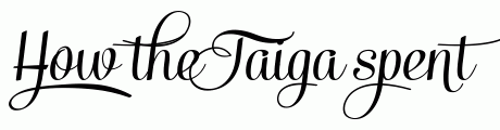 Taiga