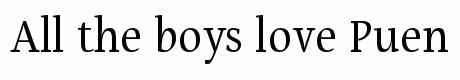 Puenta Serif Regular