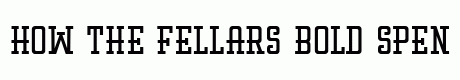 Fellars Bold