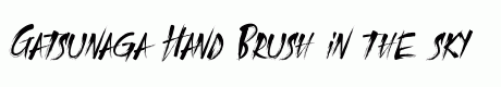 Gatsunaga Hand Brush