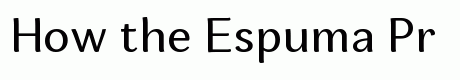 Espuma Pro Regular