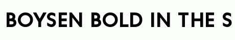 Boysen Bold