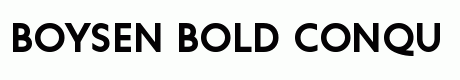 Boysen Bold