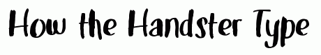 Handster Typeface