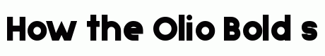 Olio Bold