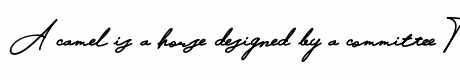 Harvey Dent Signature Script