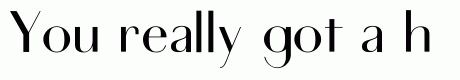 Sans Serif Didot