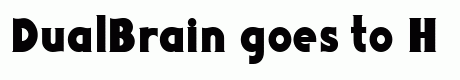 DualBrain