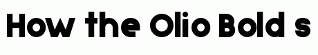 Olio Bold