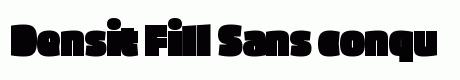 Densit Fill Sans