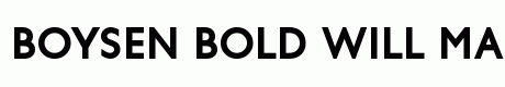 Boysen Bold