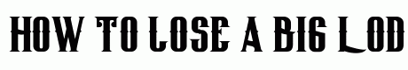 Big Lodge Type