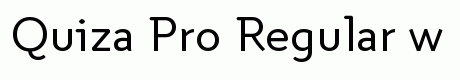 Quiza Pro Regular
