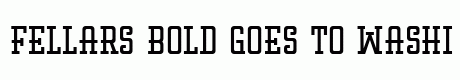 Fellars Bold