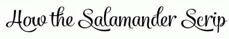 Salamander Script