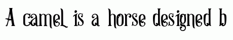 Strongwill Typeface Regular