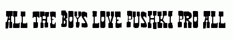 Pushki Pro