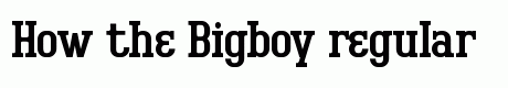 Bigboy regular